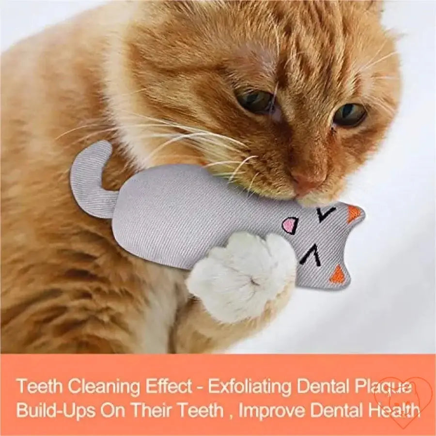 Orange cat playing with a Rustle Sound Catnip Plush Toy, promoting dental health and fun.