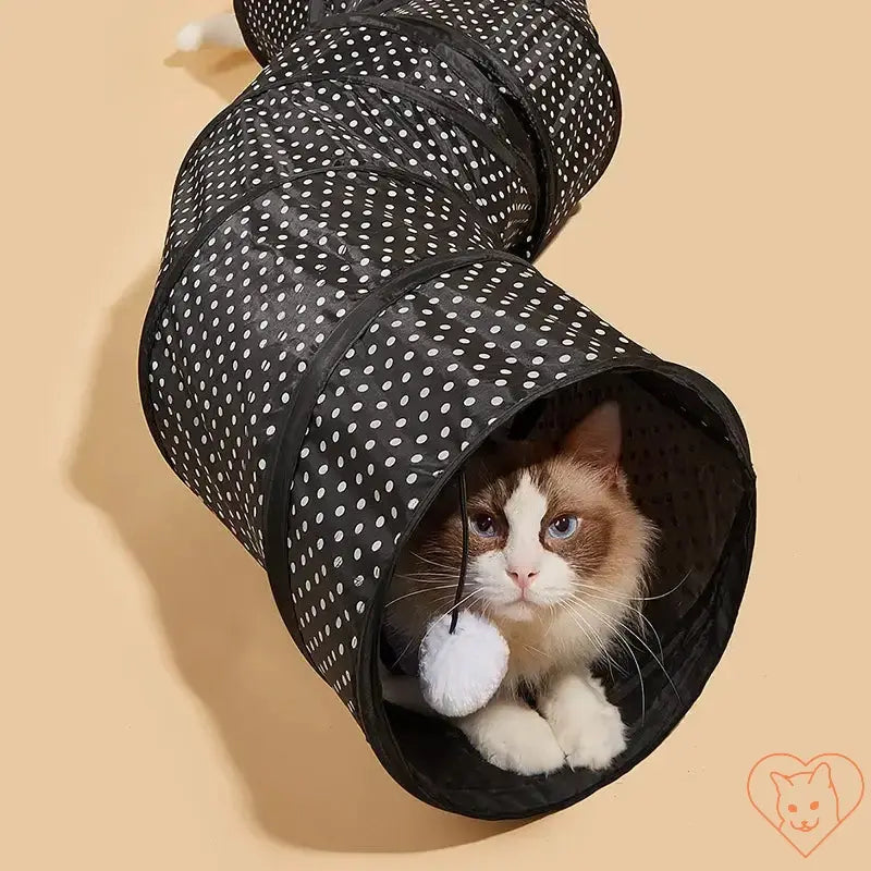 S-Shape Collapsible Cat Tunnel Cat World