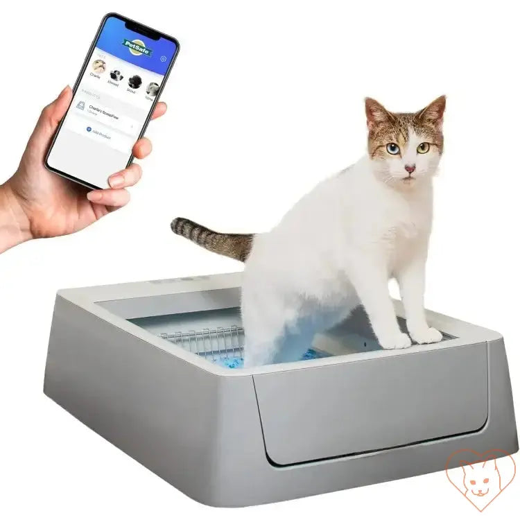 Cat using ScoopFree Smart Self-Cleaning Litter Box with smartphone app for tracking health and maintenance.