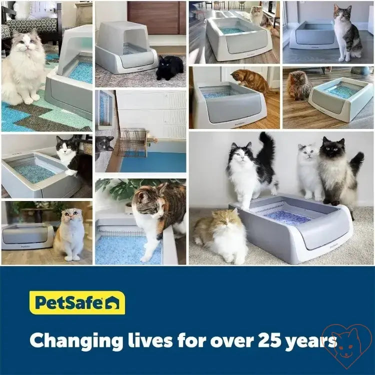 Collage of cats using various ScoopFree Smart Self-Cleaning Cat Litter Boxes by PetSafe, promoting hassle-free pet care.