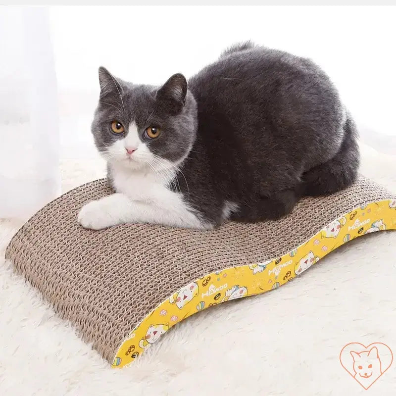 Gray cat lounging on a scratch-resistant cat scratcher sofa bed made of durable cardboard.