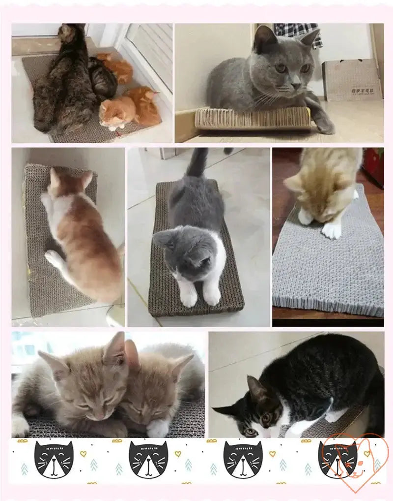 Cats playing and lounging on a Scratch-Resistant Cat Scratcher Sofa Bed made of durable cardboard.