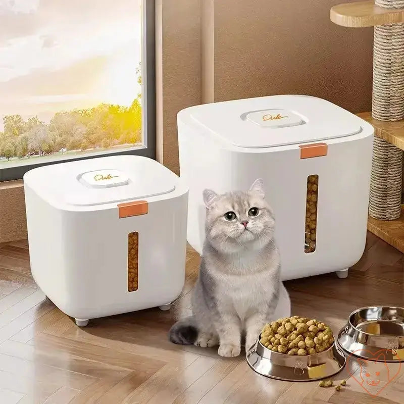 Sealed cat food storage barrels beside a playful cat, ensuring fresh and moisture-free food supply.