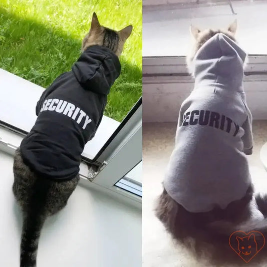 Two cats wearing Security Cat Hoodies, one in black and one in gray, showcasing cozy pet fashion.