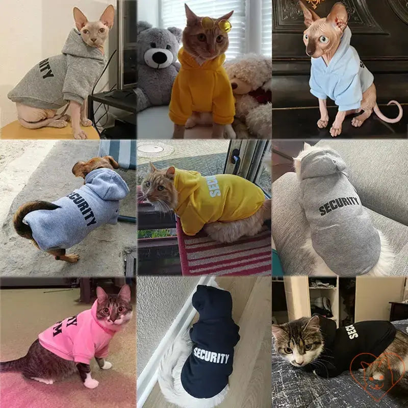 Collage of cats in colorful Security Cat Hoodies, showcasing stylish and warm pet jackets for cozy wear.