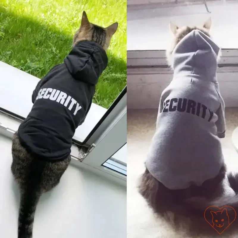 Two cats wearing Security hoodies, one in black and one in gray, looking stylish at the window.