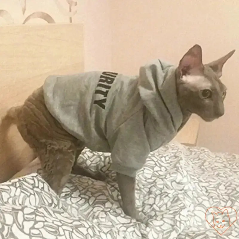 Cat wearing a cozy gray hoodie on a bed, showcasing a stylish and warm pet outfit.