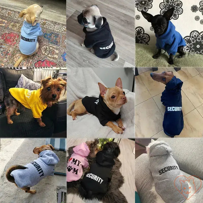 Collage of dogs in stylish hoodies, showcasing various colors and designs of Security Cat Hoodies for pets.