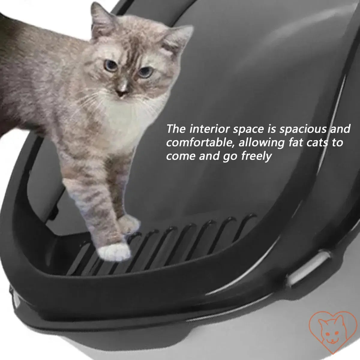 Spacious semi-enclosed cat litter box with high sides and a cat demonstrating comfort and ease of access.