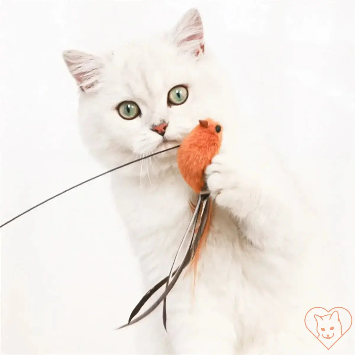 White cat playing with orange simulated bird toy and feather wand, showcasing natural hunting instincts.