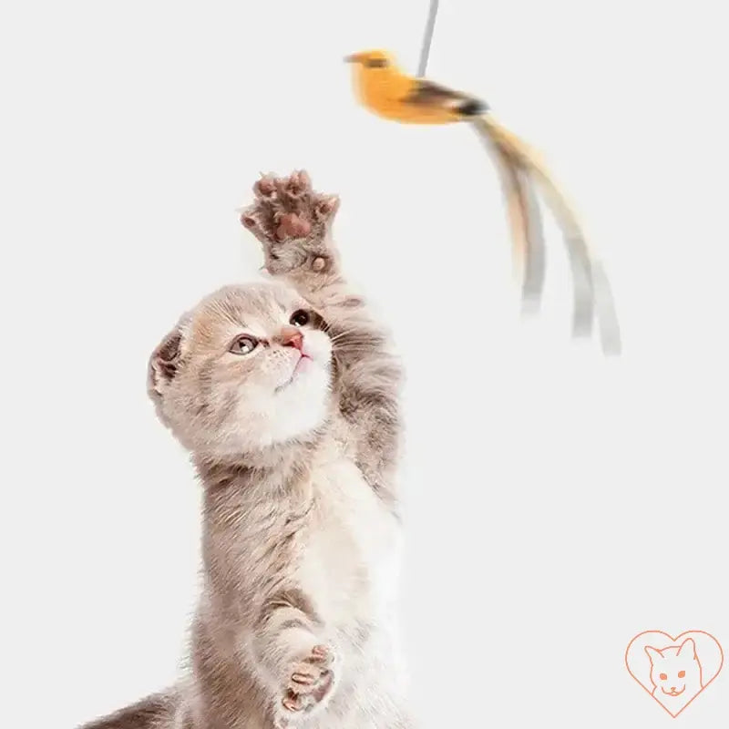 Cat playing with simulated bird toy, engaging natural hunting instincts and interactive entertainment.