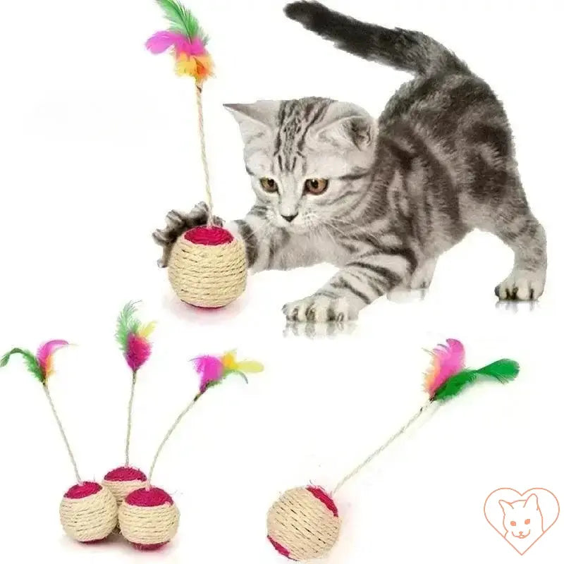 Gray kitten playing with colorful sisal scratching ball toy with feathers.