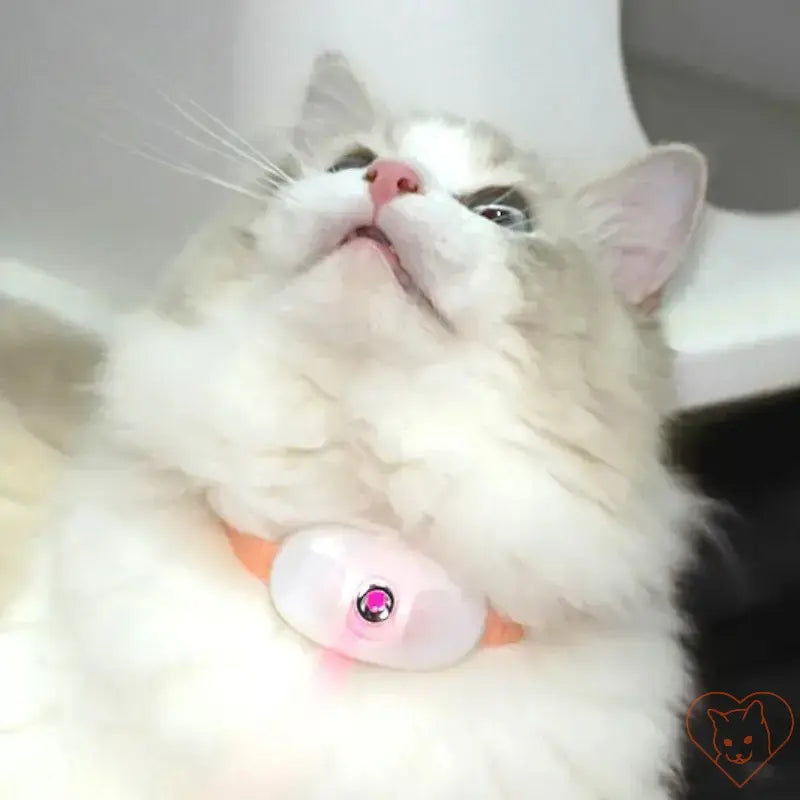 Close-up of a cat wearing a Smart Laser Cat-Teasing Collar, showcasing its interactive laser feature.