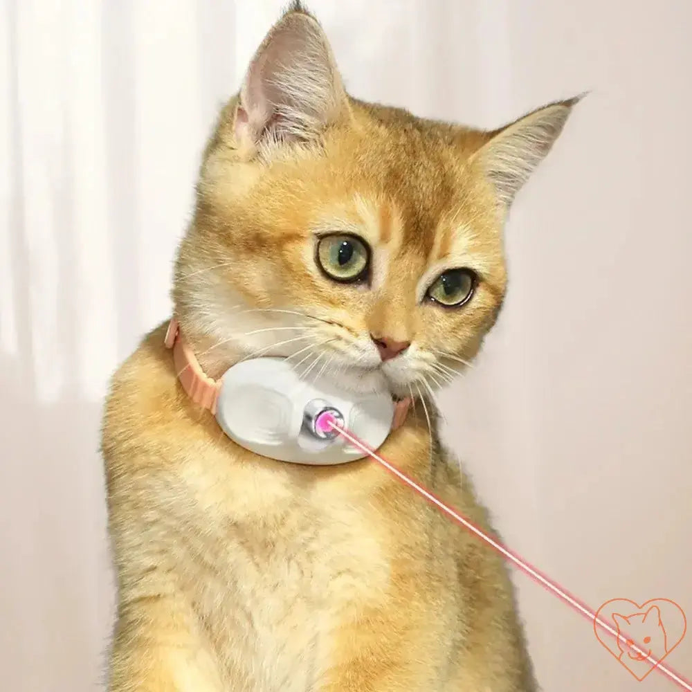 Smart Laser Cat-Teasing Collar on an orange cat, featuring an automatic infrared laser for interactive play.