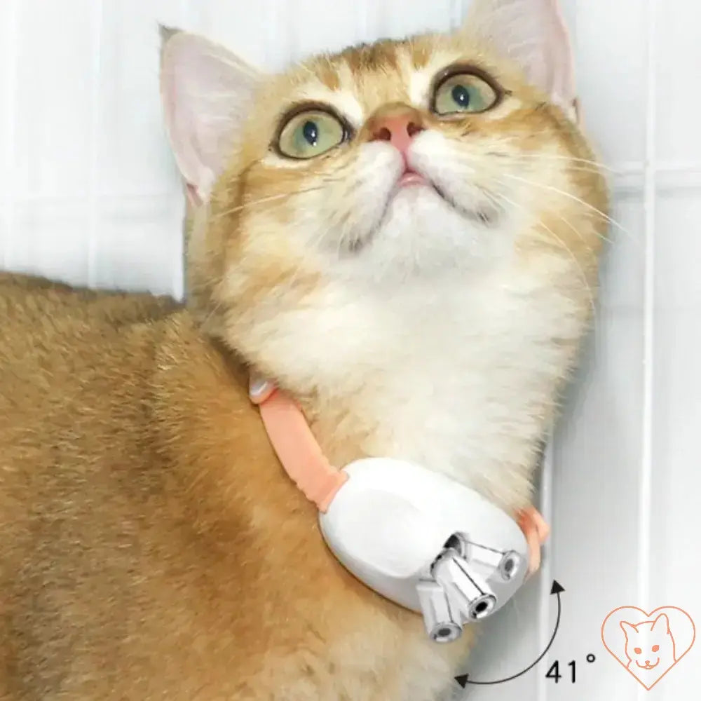 Smart Laser Cat-Teasing Collar on an orange tabby cat, featuring automatic infrared laser for interactive play.