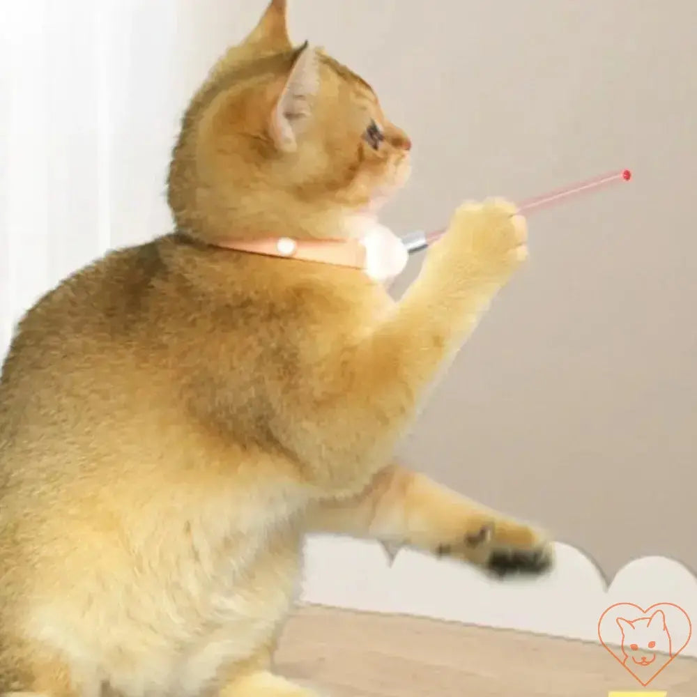 Cat with Smart Laser Collar playfully pawing at an automatic laser beam on the wall.