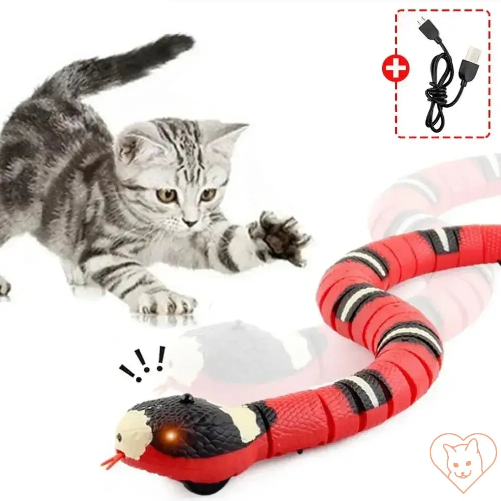 Cat playing with Smart Sensing Snake Toy, USB rechargeable, featuring realistic slithering movements and flashing eyes.