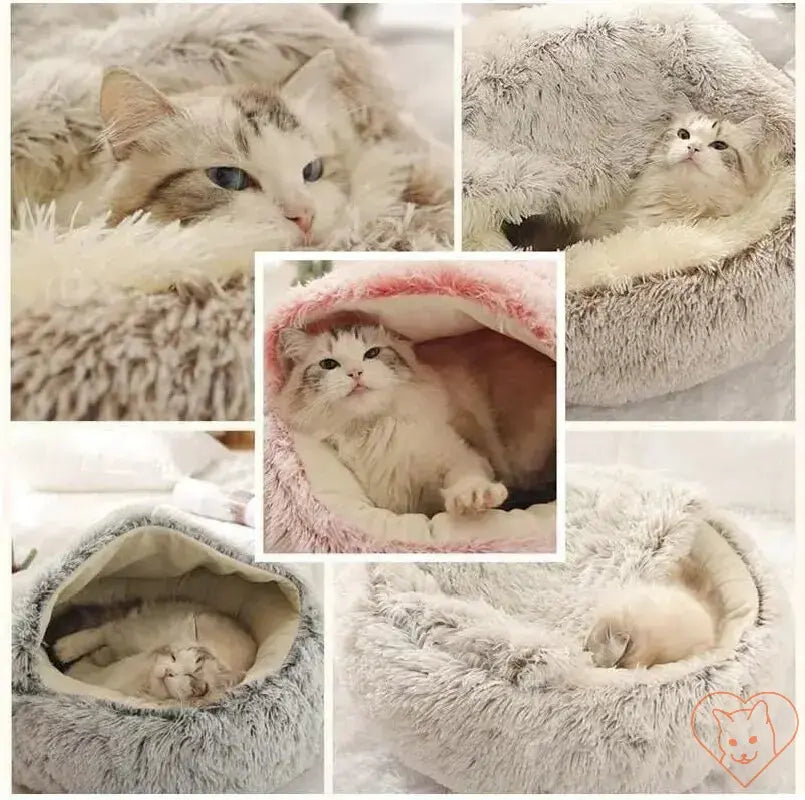 Soft Plush 2-in-1 Cat Bed with Cover featuring cozy cats relaxing in various styles.