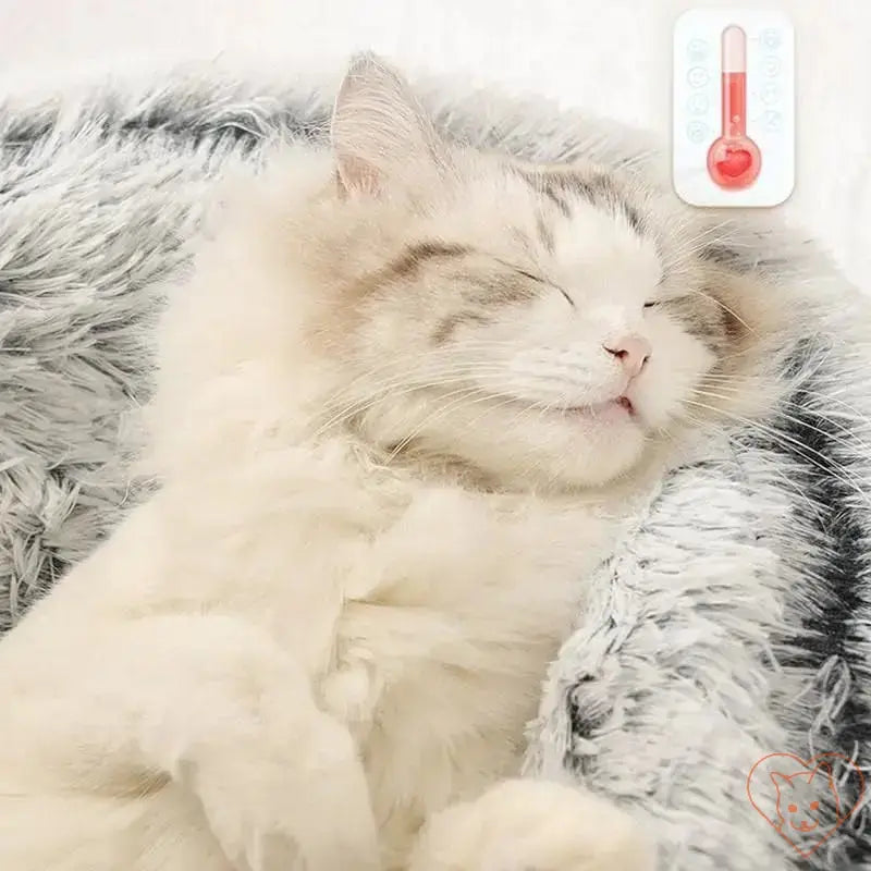 Cozy cat sleeping peacefully in a soft plush bed with a remote thermometer nearby.