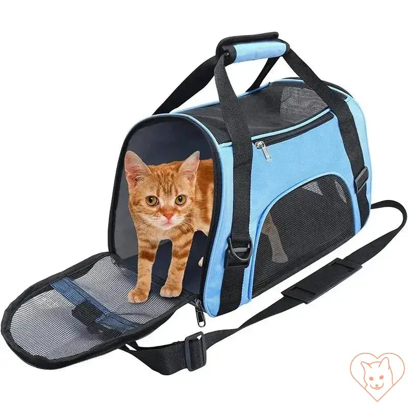 Soft-sided cat carrier in blue with a ginger cat inside, featuring mesh panels for ventilation.