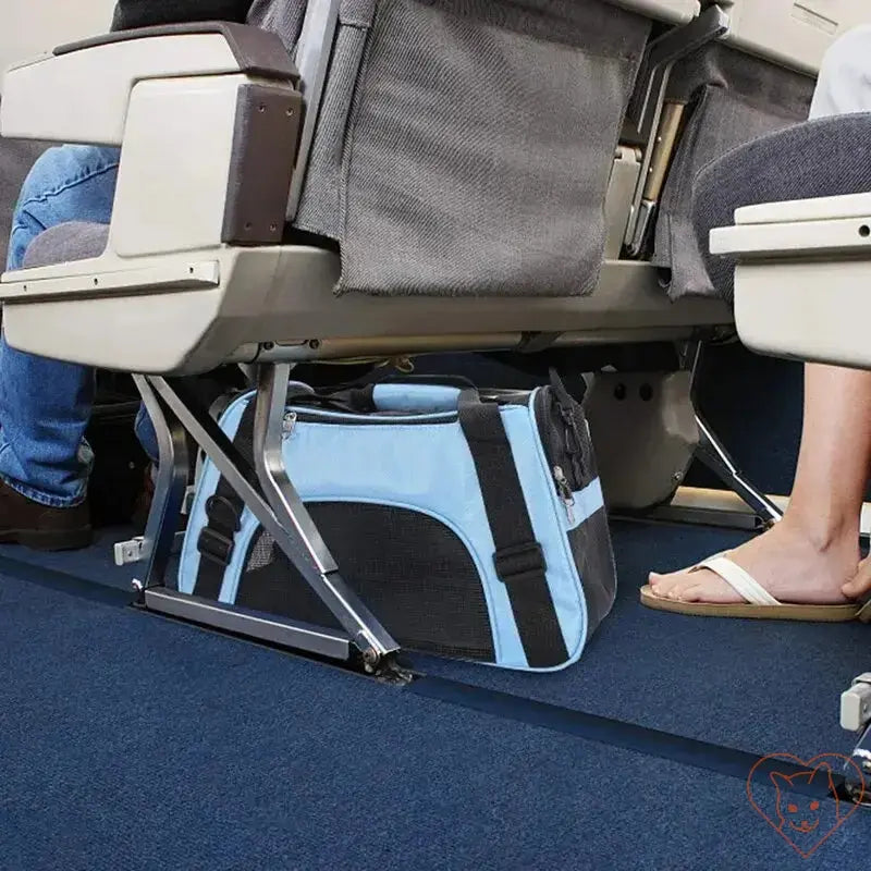 Soft-sided cat carrier stored under an airplane seat during travel, highlighting portability and comfort.