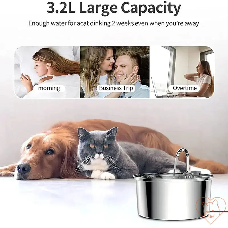 Stainless steel cat water fountain with 3.2L capacity, suitable for pets while you're away.