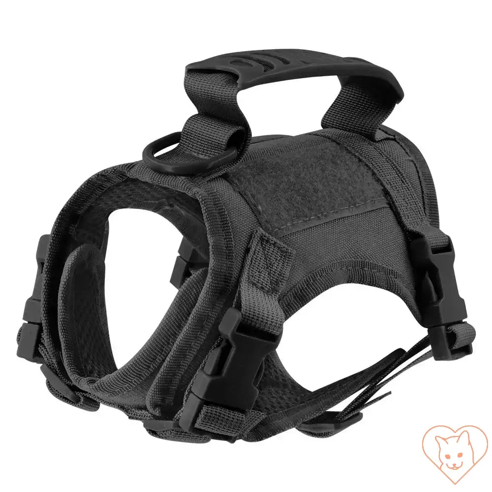 Tactical escape-proof cat harness with adjustable straps and padded design for comfort and safety during outdoor adventures.