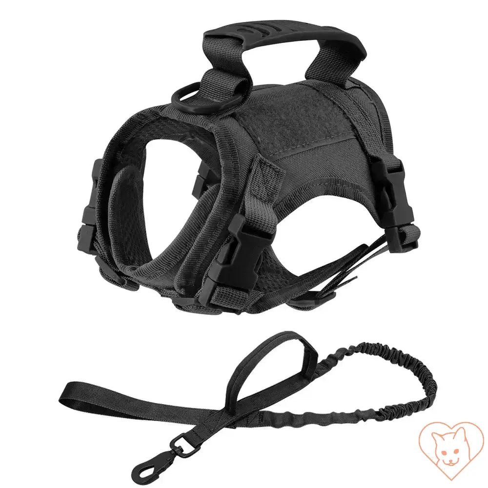 Tactical escape-proof cat harness with adjustable straps and leash for safe outdoor adventures.