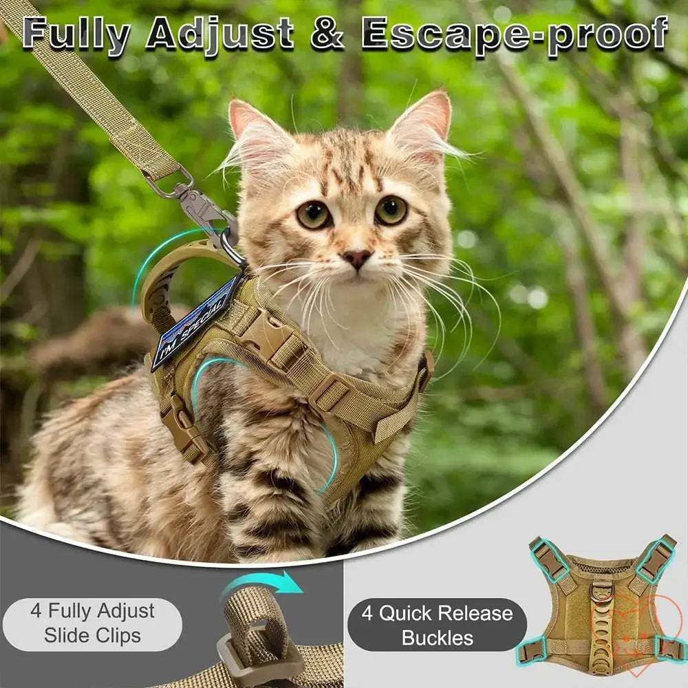 Tactical escape-proof cat harness on a fluffy cat, showcasing adjustable fit and quick-release buckles for safety.