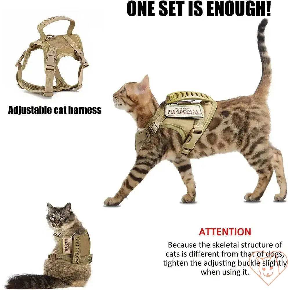 Tactical adjustable escape-proof cat harness on a playful tabby, showcasing comfort and security for outdoor adventures.