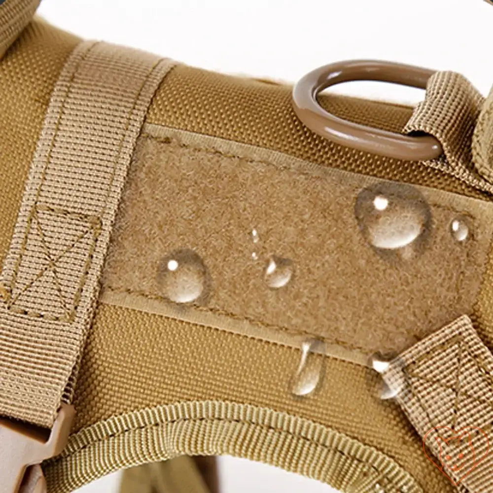 Close-up of Tactical Escape-Proof Cat Harness showing water-resistant material with droplets.