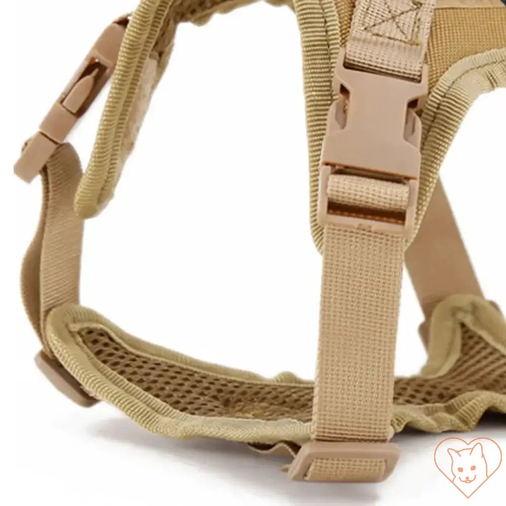 Tactical cat harness featuring adjustable straps and padded mesh for comfort and security during outdoor adventures.