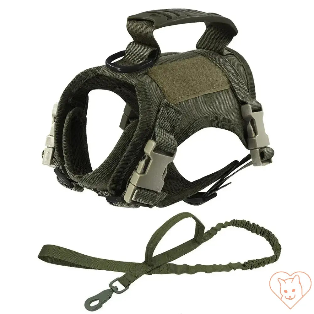 Tactical escape-proof cat harness in green with adjustable straps and attached leash for secure outdoor adventures.