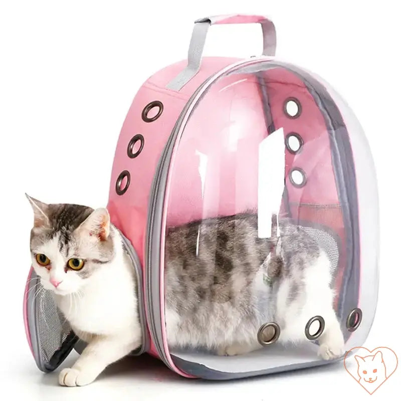 Pink transparent capsule cat carrier backpack with a cat safely inside, showcasing breathable design for pet travel.