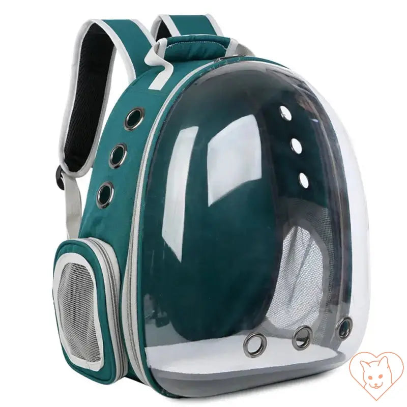 Transparent capsule cat carrier backpack with breathable design and mesh for small pets.