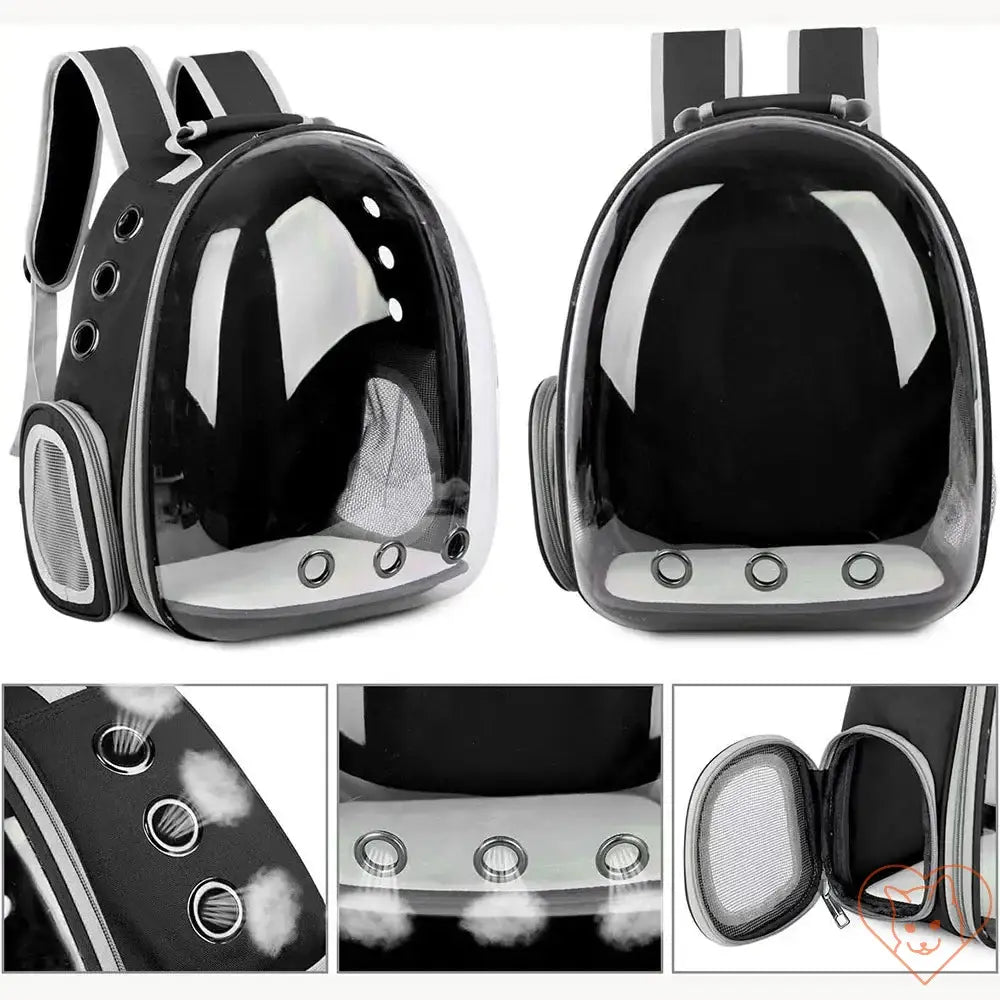 Transparent Capsule Cat Carrier Backpack with breathable mesh and rounded bubble design for small pets.