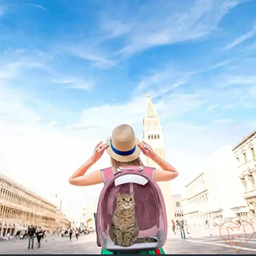 Woman wearing a transparent cat carrier backpack with a cat inside, exploring a scenic city.