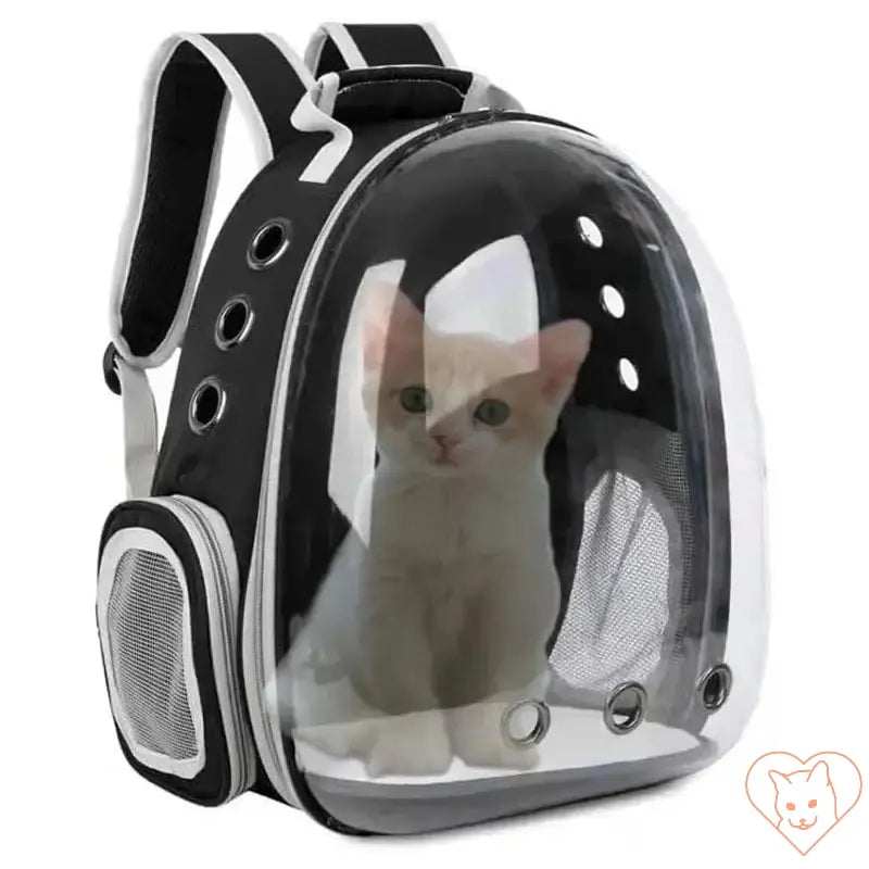 Transparent capsule cat carrier backpack with a cat inside, designed for breathable and safe pet travel.