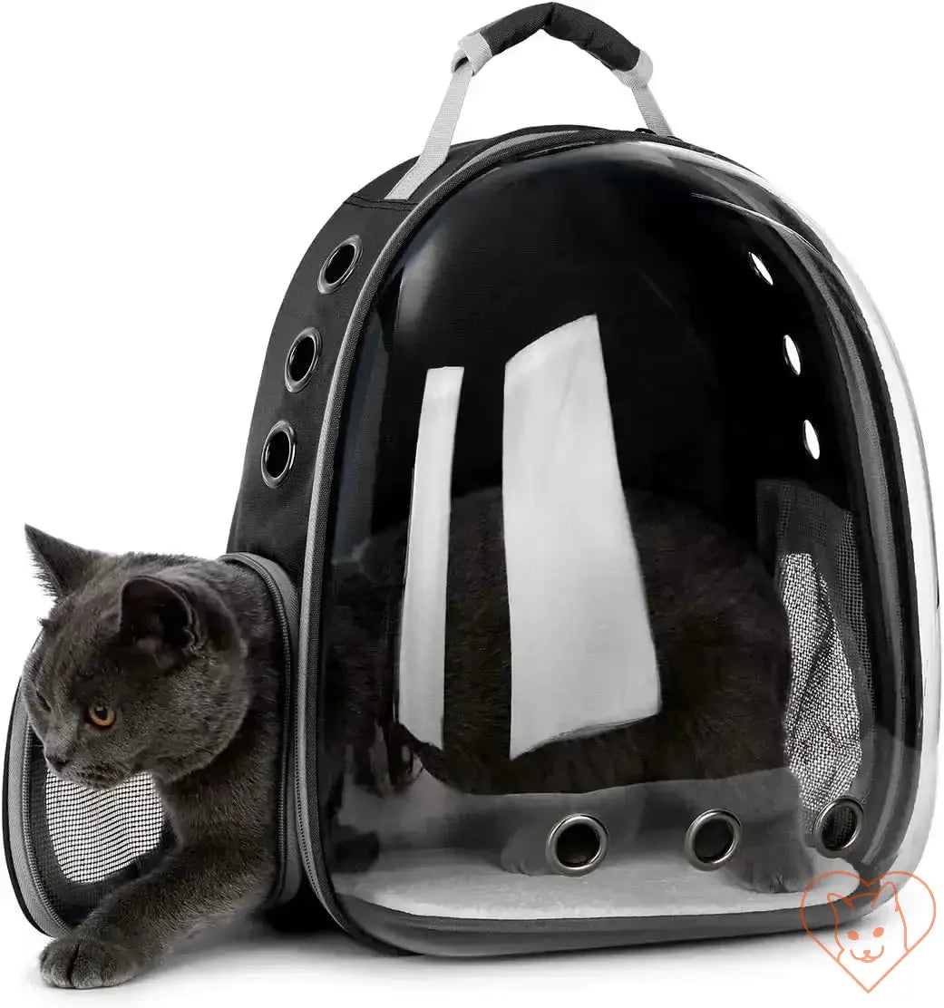 Transparent capsule cat carrier backpack with a gray cat, designed for breathable and stylish pet travel.