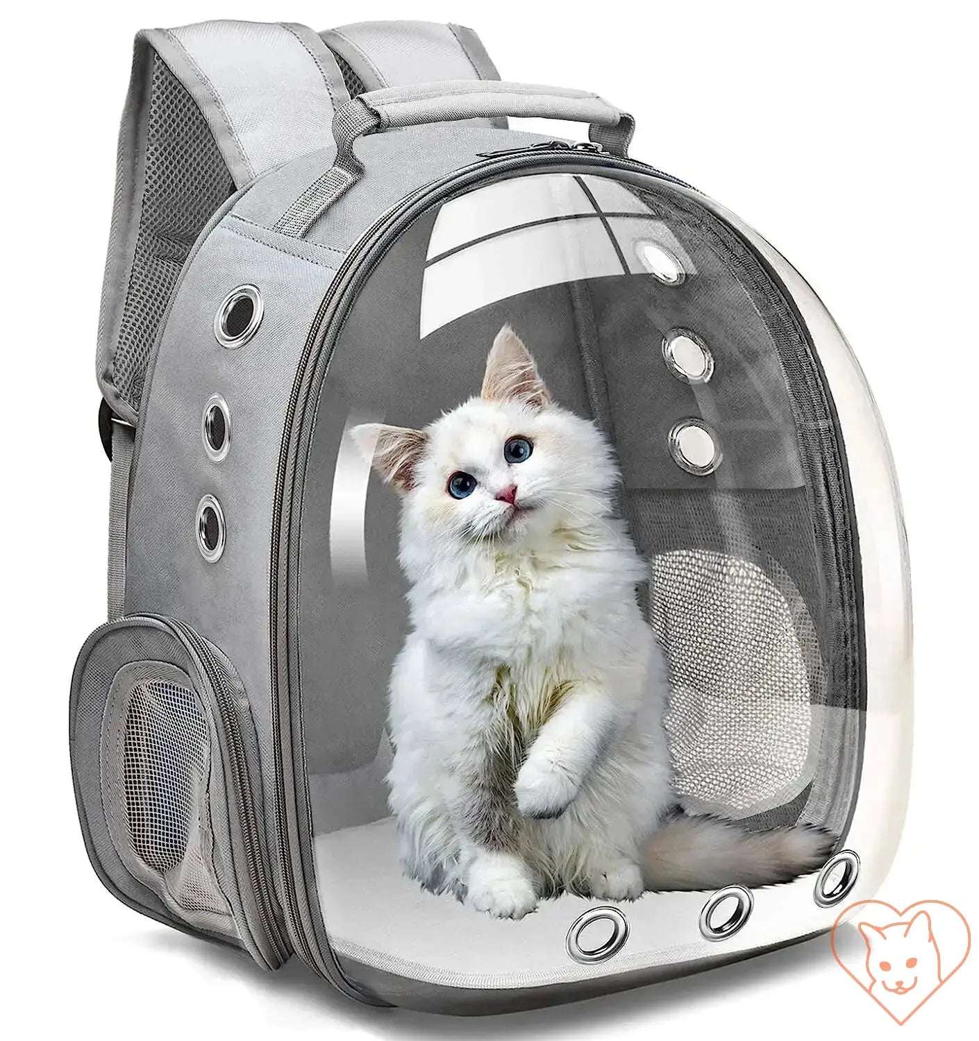 Transparent capsule cat carrier backpack with a fluffy white cat inside, designed for travel comfort and breathability.