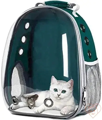 Transparent capsule cat carrier backpack with a white cat inside, designed for comfortable pet travel.