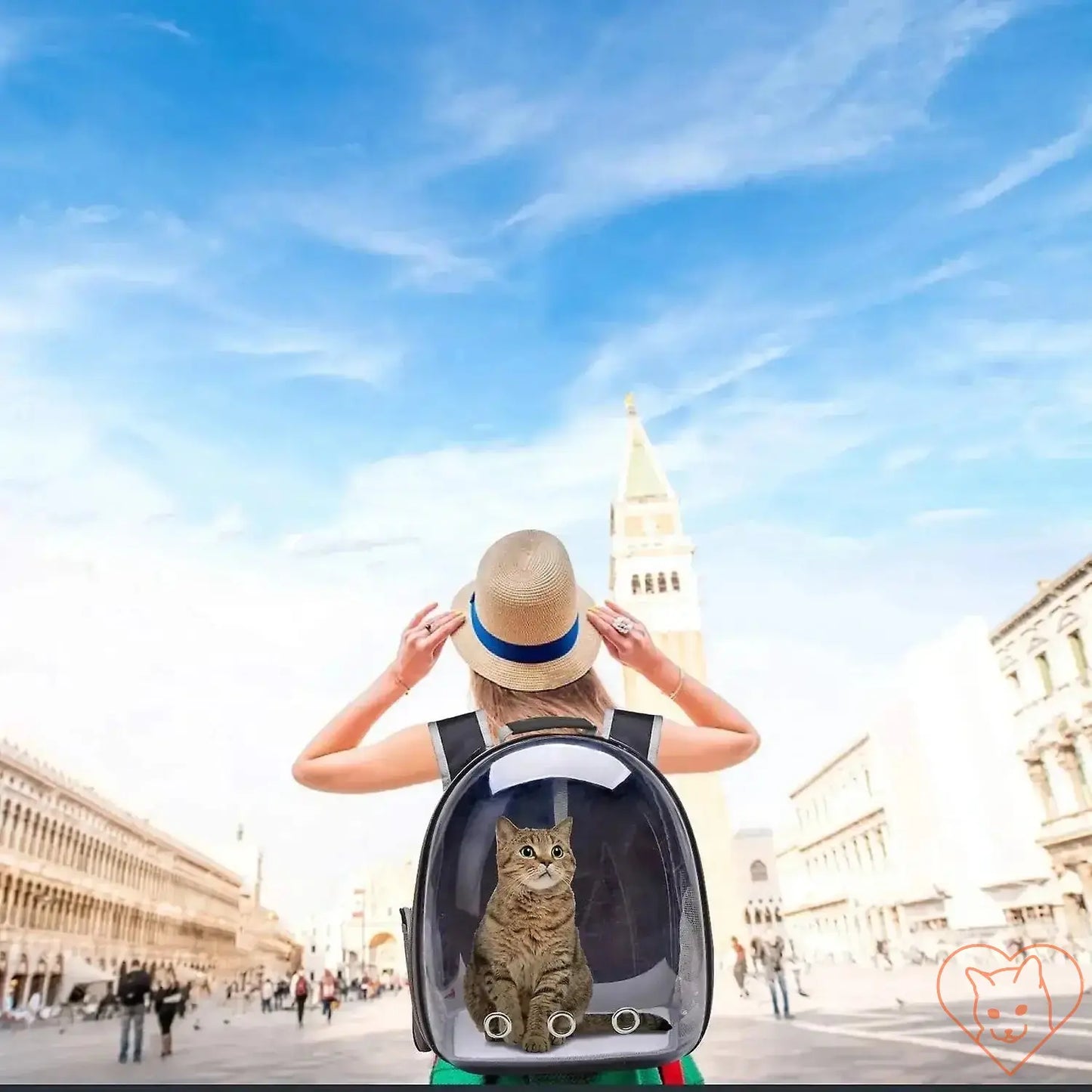 Person wearing a transparent capsule cat carrier backpack with a cat inside, traveling in a scenic urban setting.