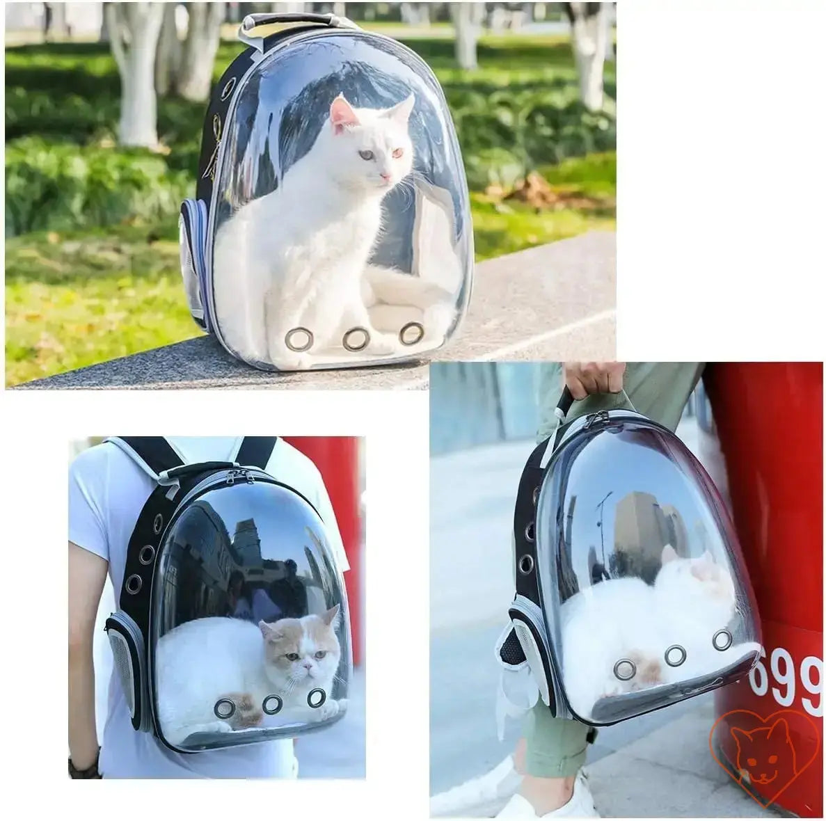 Transparent capsule cat carrier backpack with breathable design and cats inside for safe travel.