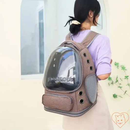 Transparent folding pet carrier backpack for cats, featuring clear front panel and breathable design.