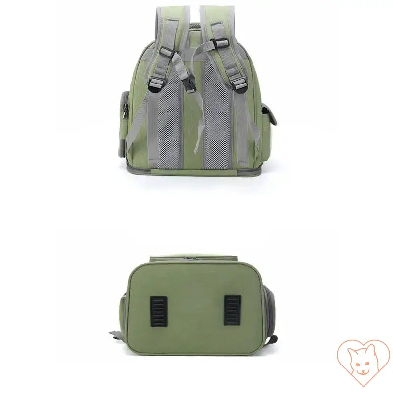 Transparent folding pet carrier backpack, green, showcasing adjustable straps and spacious design for pet travel.