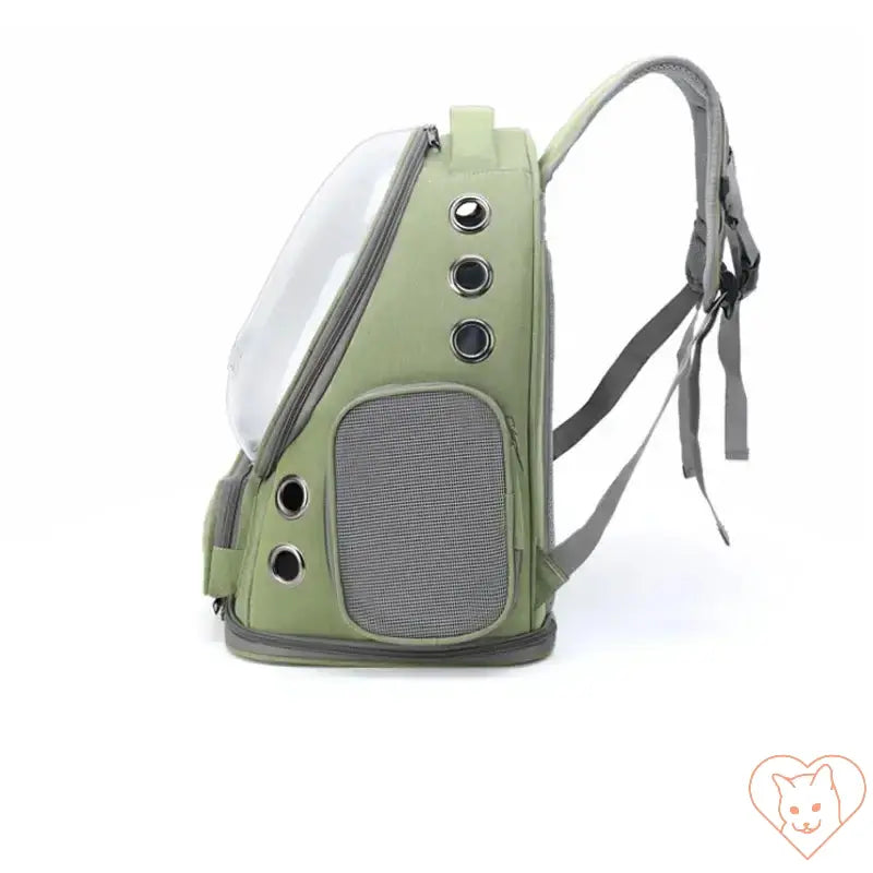 Transparent folding pet carrier backpack in green, featuring a clear front panel and breathable mesh sides for pet comfort.