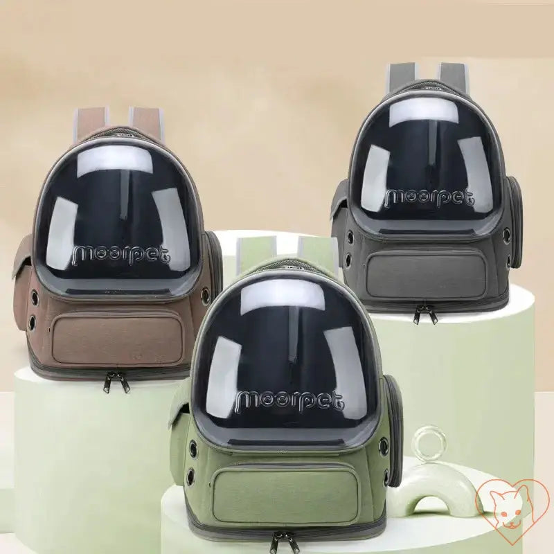 Three colors of Transparent Folding Pet Carrier Backpack on display, ideal for cats and small dogs, showcasing style and functionality.