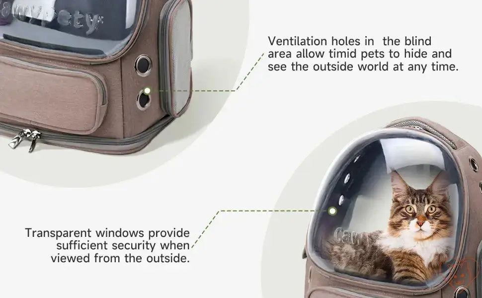 Transparent folding pet carrier backpack showcasing ventilation holes and a cat inside, designed for secure travel.