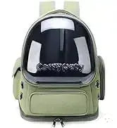 Transparent folding pet carrier backpack in green, designed for traveling with cats or small dogs.