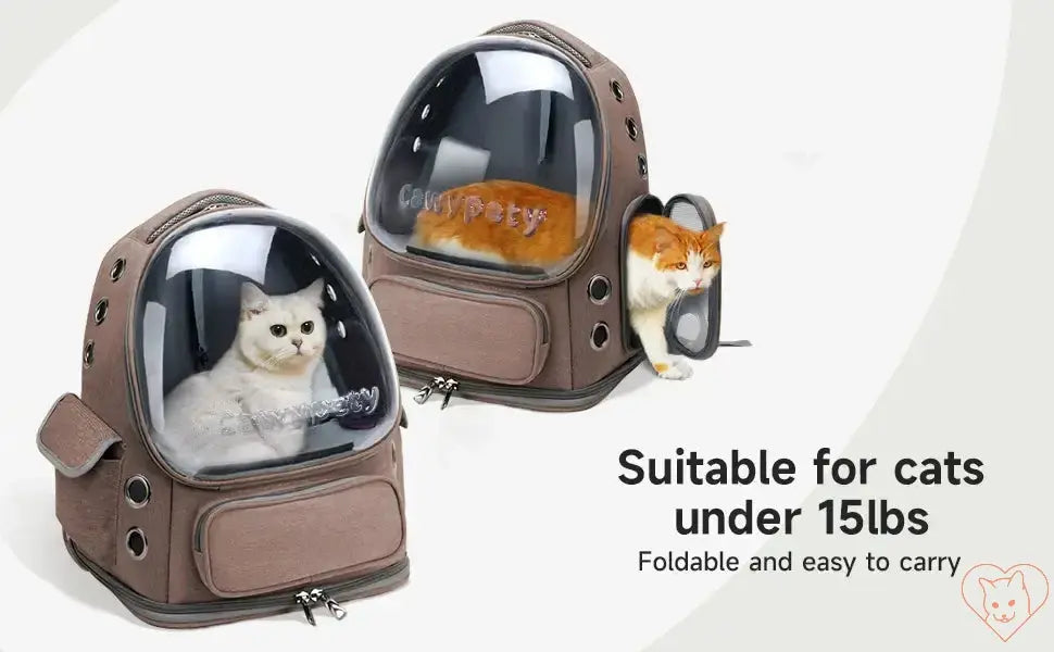 Transparent folding pet carrier backpack for cats, featuring clear front panel, ergonomic design, foldable and easy to carry.